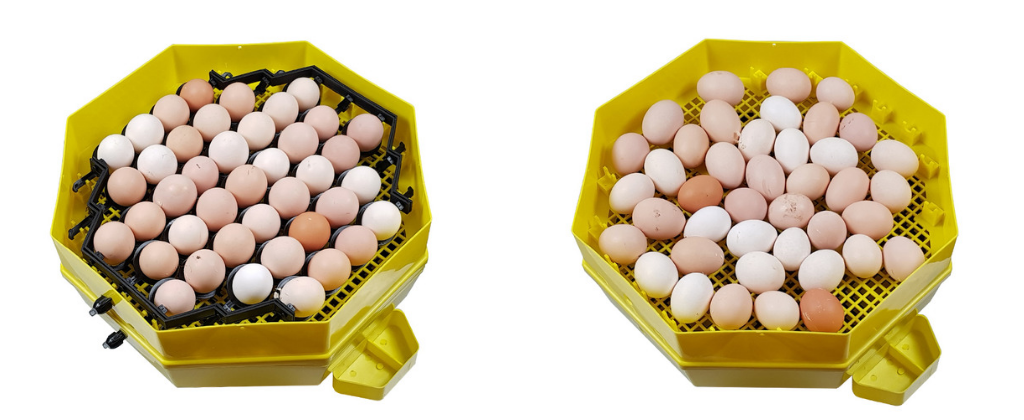 Systém otáčení vajec CLEO 5x2 DTH